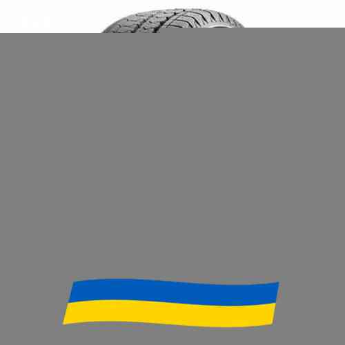 225/55 R17 Matador Nordicca Van 109/107T Легковантажна шина Київ