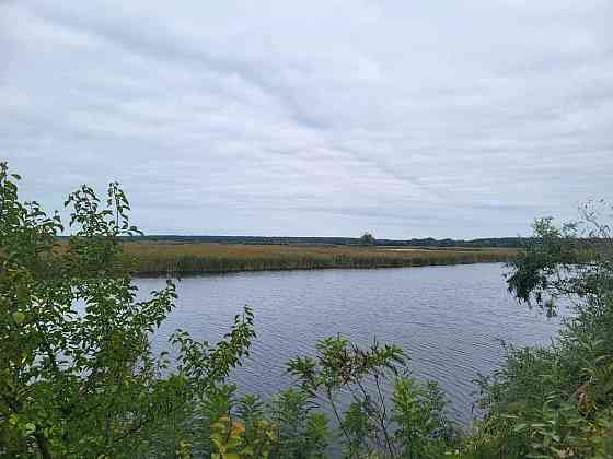 продажа земля сельскохозяйственного назначения Бориспольский, Вороньков, 958800 грн. 