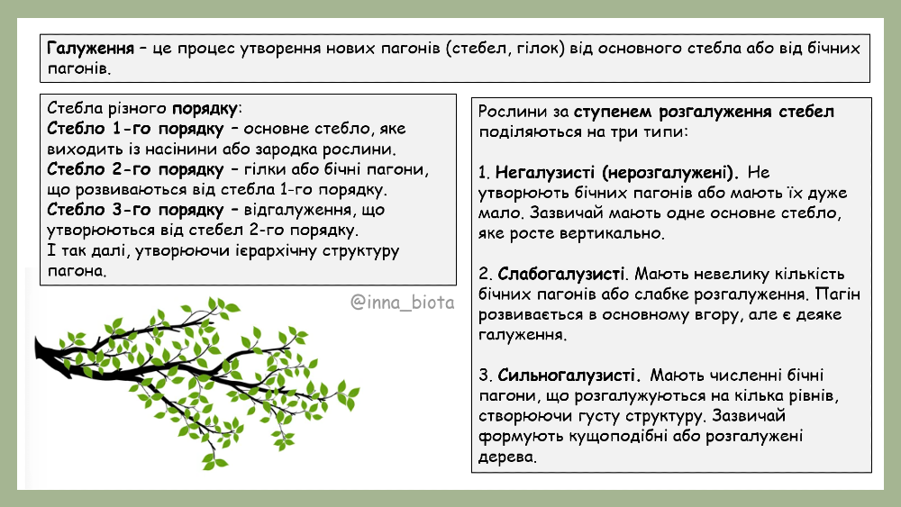 Репетитор біології з вищою біологічною освітою (онлайн та офлайн), Голосіївський район Київ - зображення 4