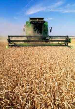 Готовая к работе спецтехника трактор, экскаватор, комбайн Дніпро