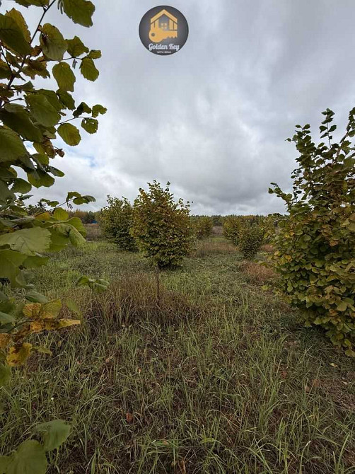 продажа земля сельскохозяйственного назначения Вышгородский, Ровы, 28000 $  - зображення 8