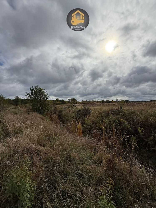 продажа земля сельскохозяйственного назначения Вышгородский, Ровы, 35000 $  - зображення 3