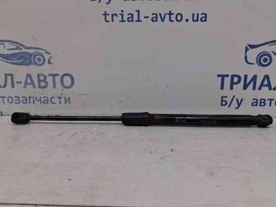 Амортизатор крышки багажника Kia Ceed 2012-2018 81780A2000 (Арт. 60401) Киев