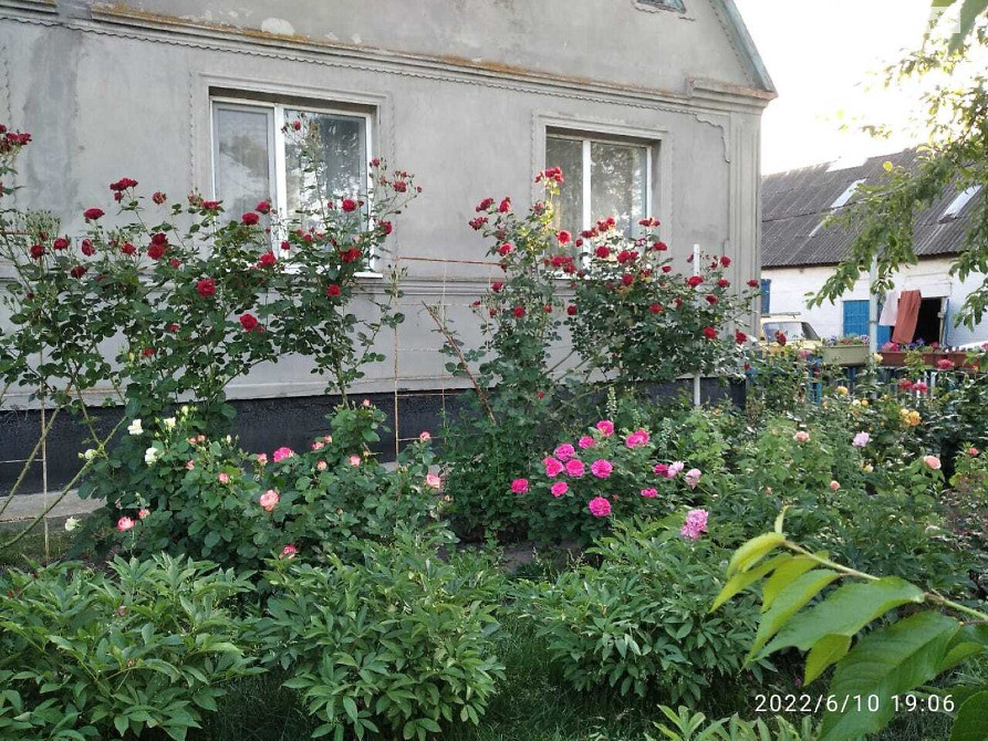 Продається будинок з 1 гектаром землі в с. Тавежня Харківської області Харків - зображення 2