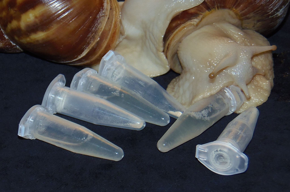 Ахаслим — космецевтический препарат для здоровья и молодости кожи от самой Природы. Харків - зображення 1