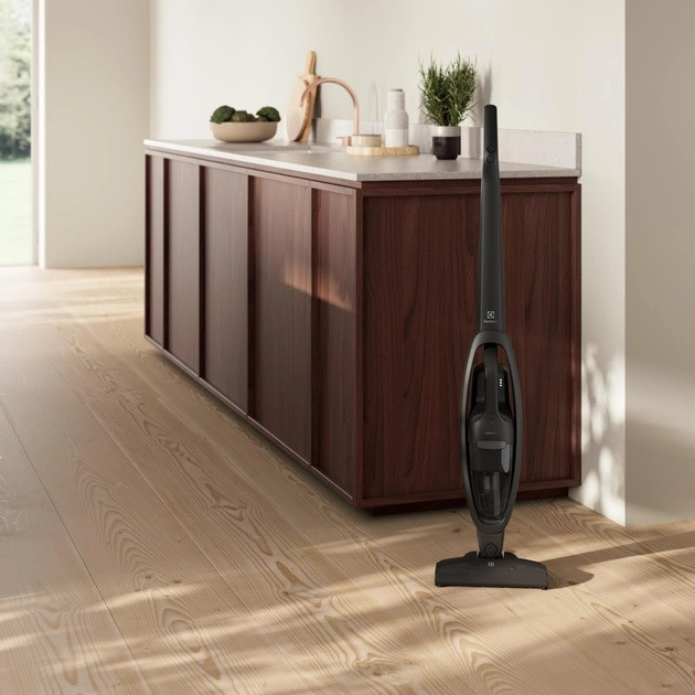 Пилосос вертикальний Electrolux 300 Clean ES31CB18GG 36 Вт Киев - изображение 1