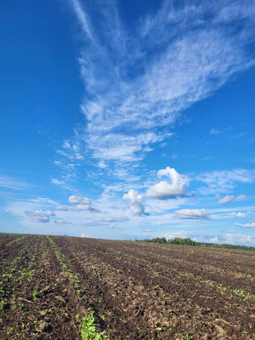 продажа участок под жилую застройку Пустомытовский, Гай, 10000 $  - изображение 1