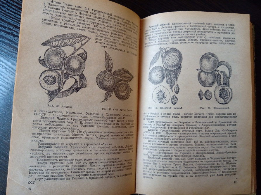 Книги: Овощи. Овощеводство. Огород. Львів - зображення 5