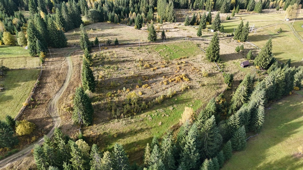 Земельна ділянка в Яблуниці 0.51 га Яремче - изображение 8