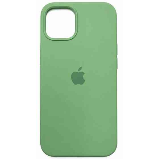 DM Чохол Silicone Case для iPhone 13 Cactus Харків