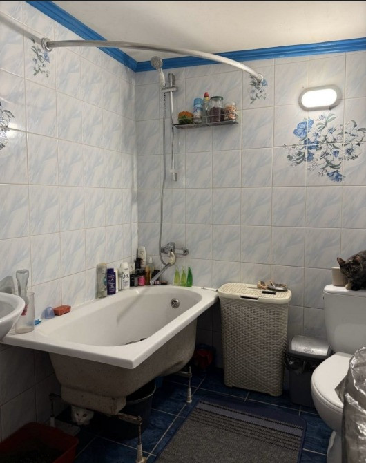 Продам дом в Приднепровске (два дома на участке) Днепр - изображение 7