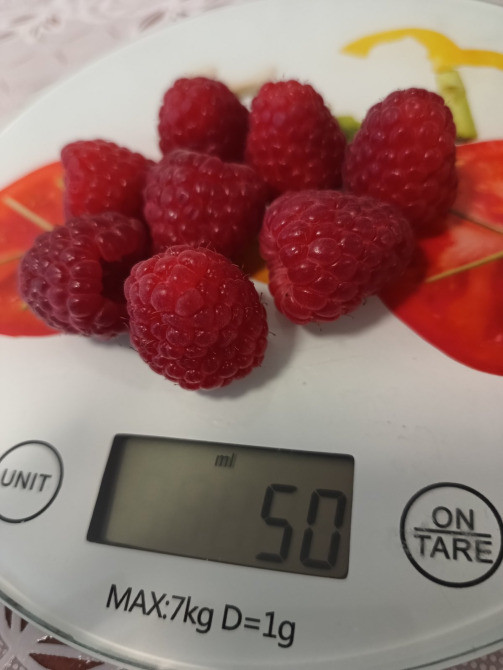 Саджанці малини ремонтантної Полана (опт та роздріб) Луцьк - зображення 5