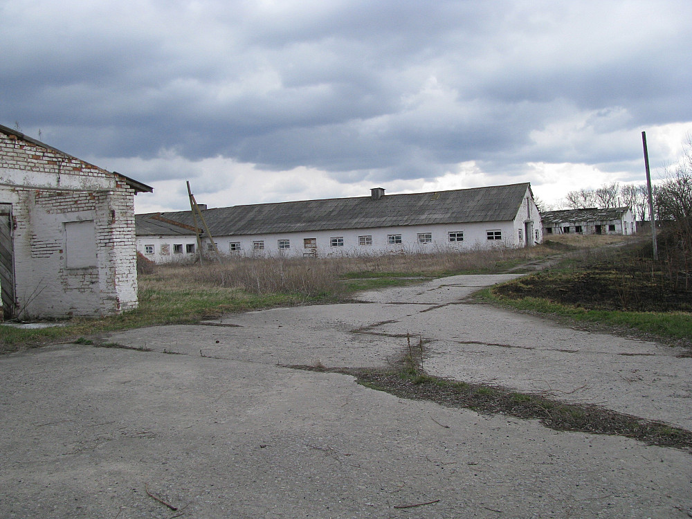 Продається овочева тваринницька садова ягідна равликова ферма Канів - зображення 12