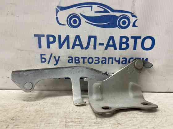 Петля капота левая Infiniti QX60 L50 3.5 БЕНЗИН VQ35DE 2013 (б/у) Київ