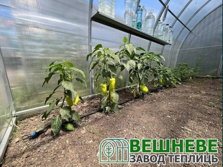 АКЦИЯ!!! полікарбонат теплица с плівкою від ЗАВОДА ширина 3м Першотравенськ - зображення 4