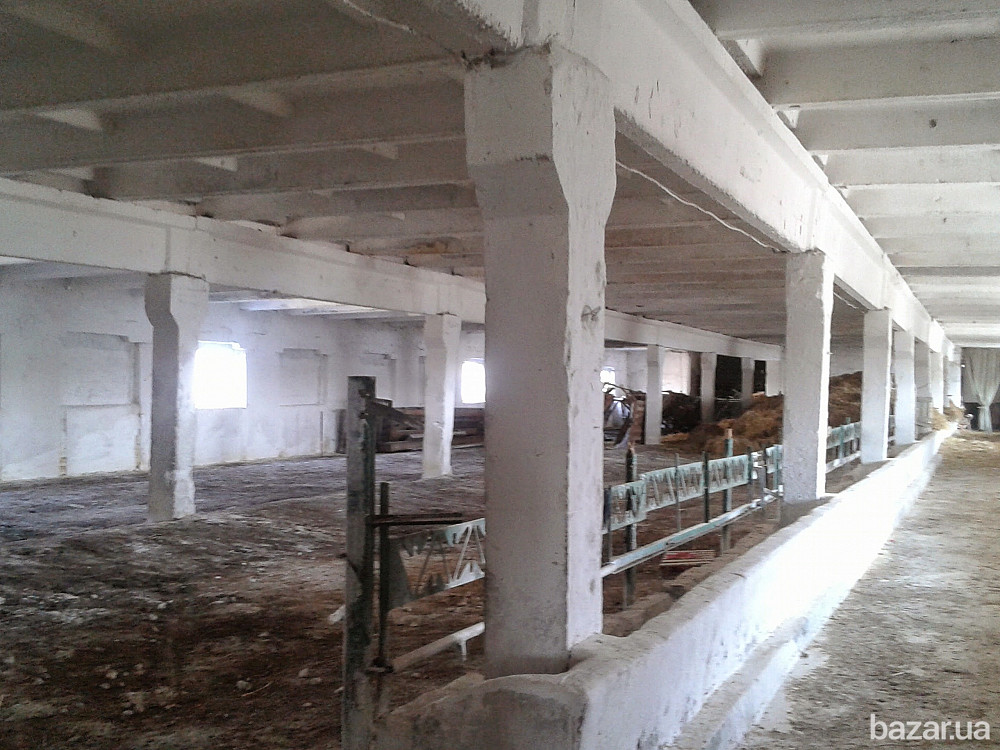 Предлагаю купить комплекс помещений сельскохозяйственного назначения. Дніпро - зображення 6