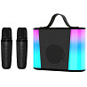 Караоке Микрофон-колонка V6 + два микрофона Херсон
