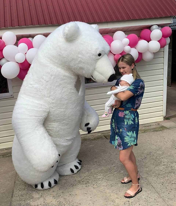 Белый медведь Лебедин,Гадяч,Ахтырка,Сумы,Тростянец,Зеньков заказ аниматора. Лебедин - изображение 5