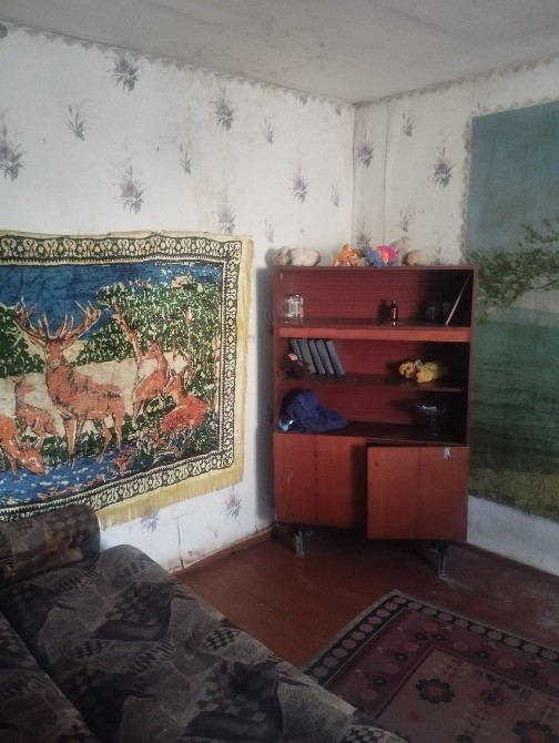 Продам дом в Баловке Днепр - изображение 3