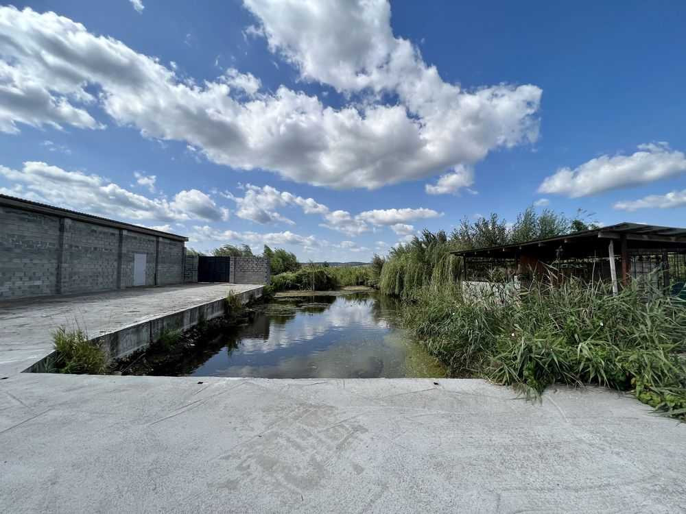 продажа земля сельскохозяйственного назначения Киево-Святошинский, Белогородка, 800000 $  - изображение 5