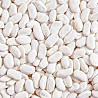 Закуповуємо квасолю у виробників Дніпро