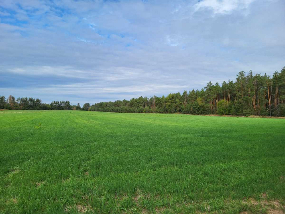 продажа земля сельскохозяйственного назначения Бориспольский, Вороньков, 958800 грн.  - изображение 4