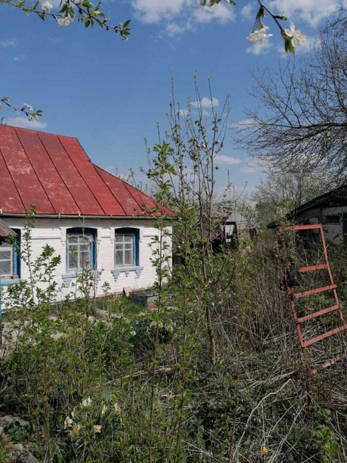 продажа 2-к дом Таращанский, Чернин, 7000 $  - изображение 3