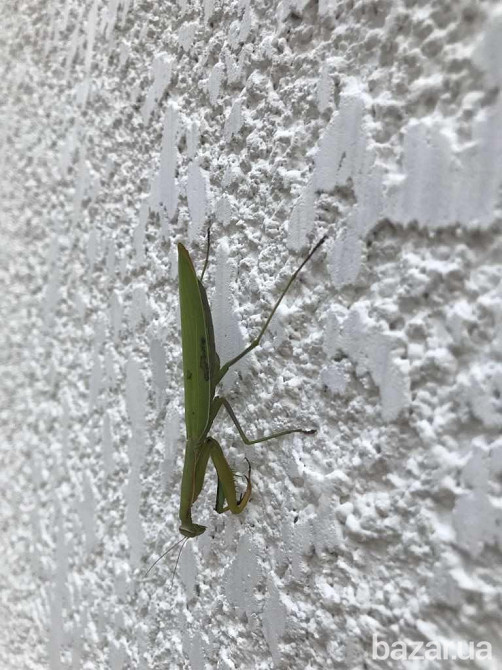 продажа 3-к таунхаус Киево-Святошинский, Хотов, 44500 $  - зображення 7