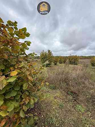 продажа земля сельскохозяйственного назначения Вышгородский, Ровы, 28000 $ 