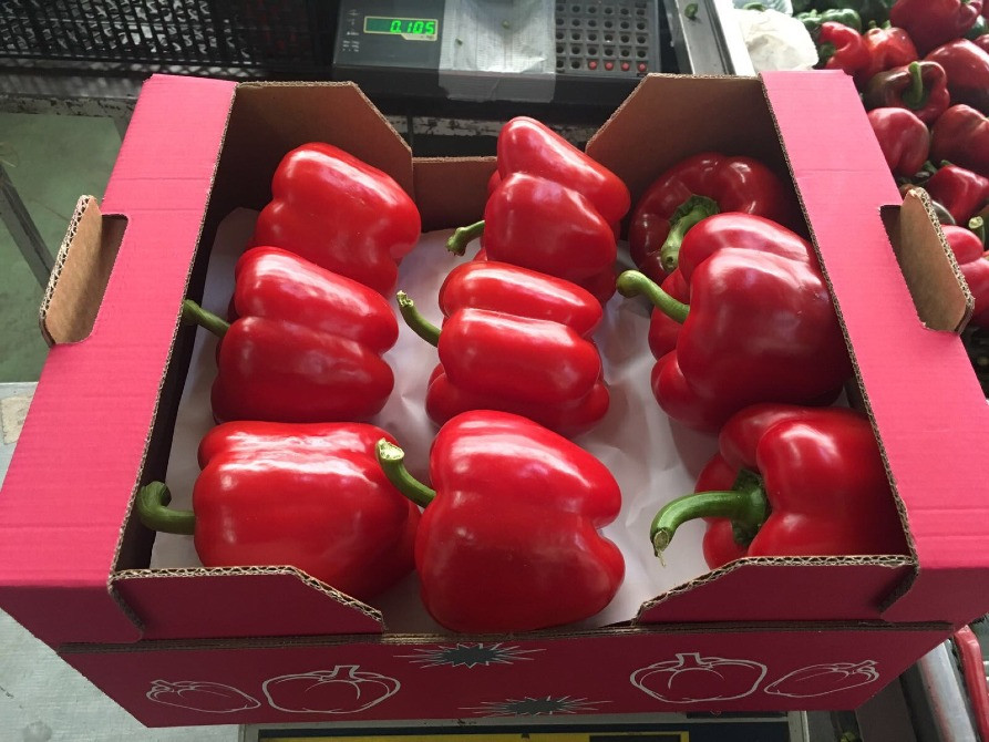 Продаем перенц Київ - зображення 2