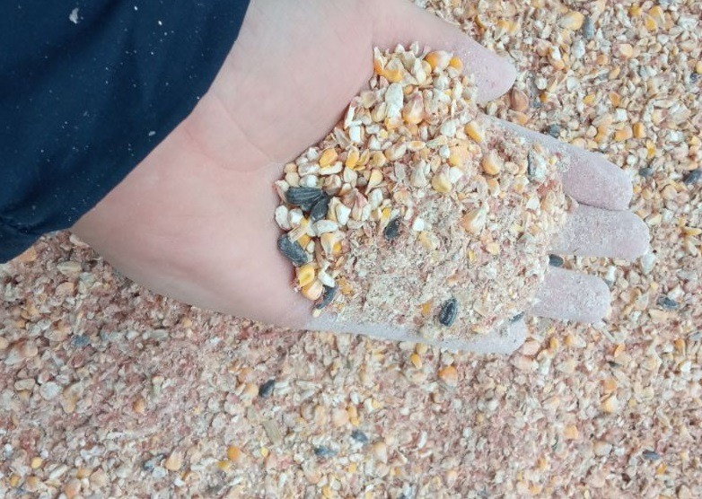 Закуповуємо зерновідходи, некондицію та побічні продукти Кропивницький - зображення 1