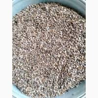 Насіння гречки. Посівмат гречки. Посівна гречка Вінниця - зображення 1