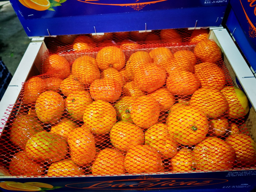 Продаем мандарины Киев - изображение 7