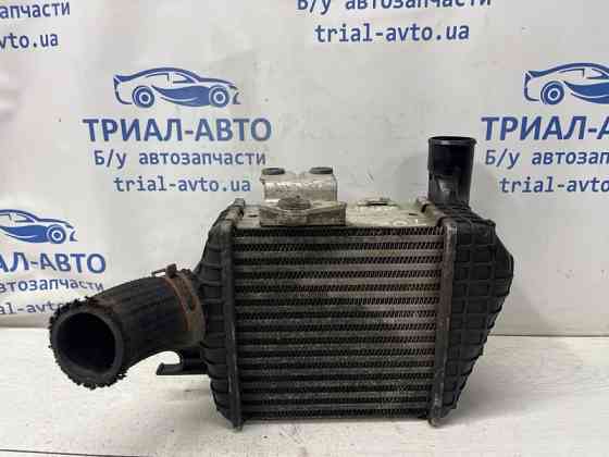 Радиатор интеркуллера Hyundai Tucson 2004-2009 282702725X (Арт. 79507) Киев
