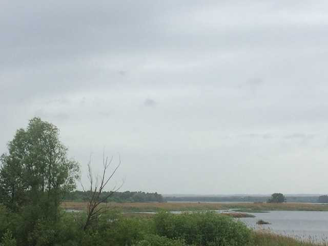 продажа участок под жилую застройку Бориспольский, Процев, 192000 $  - зображення 5