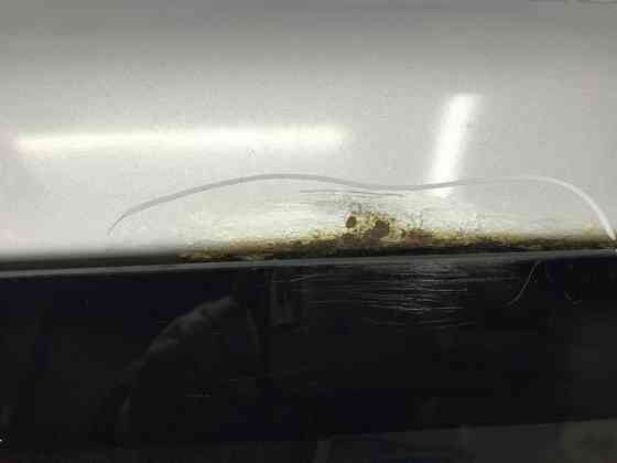 Крышка багажника Mitsubishi Pajero Wagon 3 3.2 ДИЗЕЛЬ 4M41 1999 (б/у) Київ