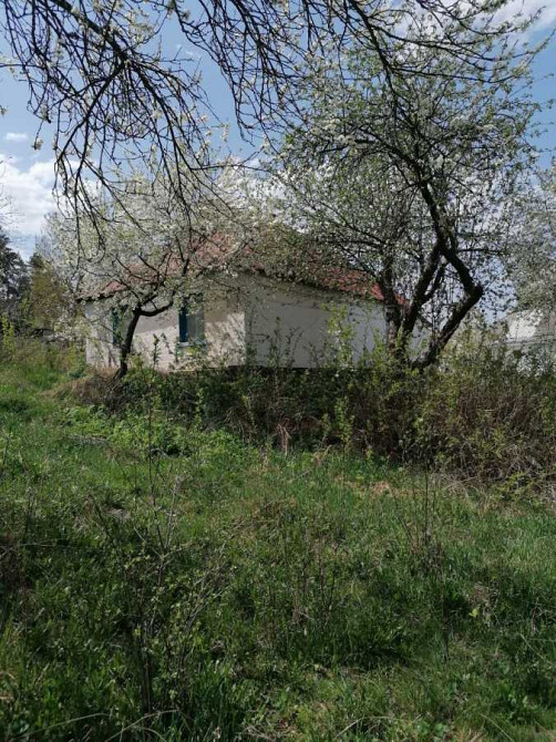 продажа 2-к дом Таращанский, Чернин, 7000 $  - изображение 2