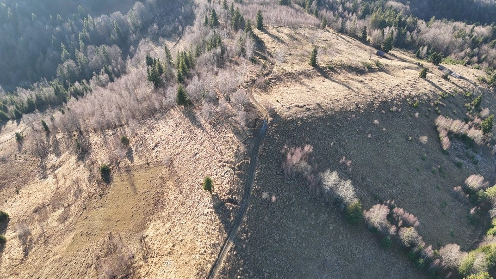 Земельна ділянка у Микуличині 0.76 га Яремче - зображення 5