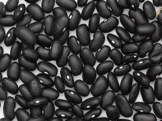 Квасоля оптом від виробника з доставкою Чернігів