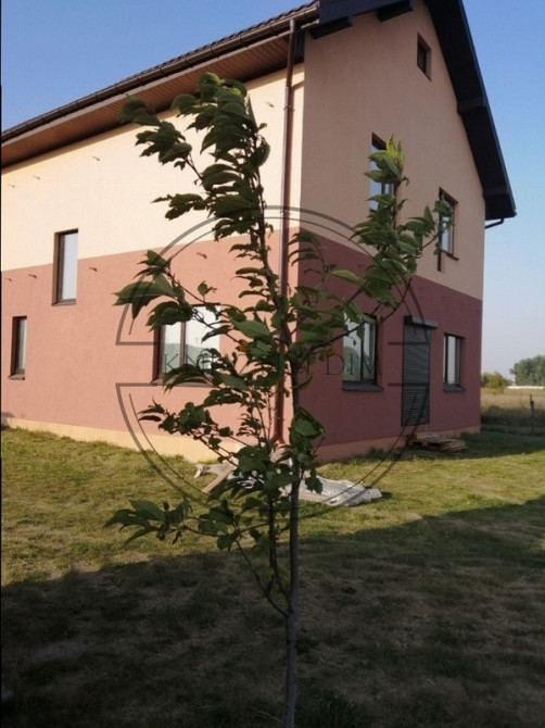 Продажа дома Киевская, Бориспольский, Рогозов код 2210950 Київ - зображення 1