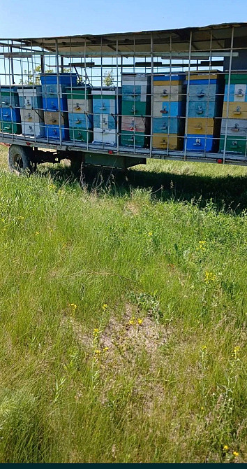 ПРОДАЄТЬСЯ ПРОФЕСІЙНИЙ КРИТИЙ БДЖОЛОПАВІЛЬЙОН (на 20 вуликів)+380959072176 Ціна 100 000 грн. Николаев - изображение 3