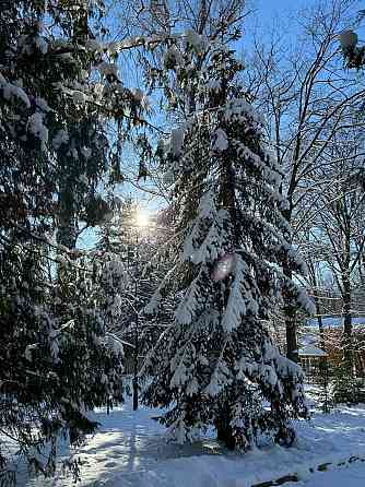 Санаторно-курортне лікування в санаторії "Березовий гай" Вінниця