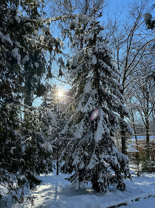 Санаторно-курортне лікування в санаторії "Березовий гай" Винница - изображение 3