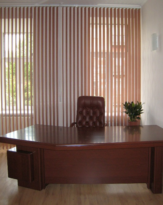 Жалюзі вертикальні (жалюзи вертикальные) Днепр - изображение 1