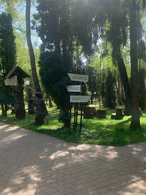🌿 «Лікування, оздоровлення, відпочинок» у санаторії "Березовий гай" Вінниця - зображення 7