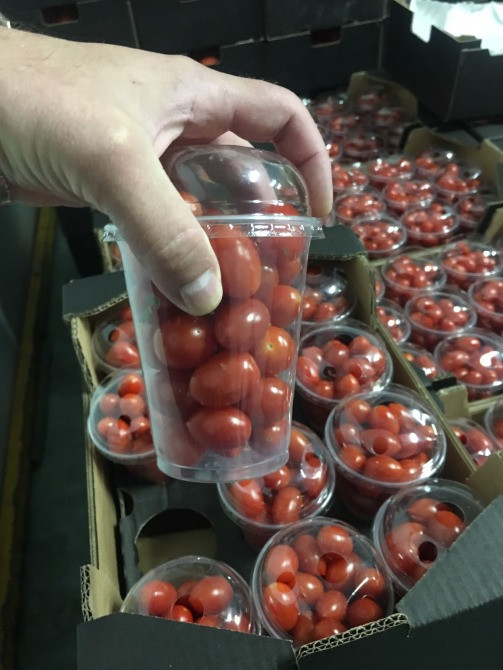 Продаем томаты Киев - изображение 7