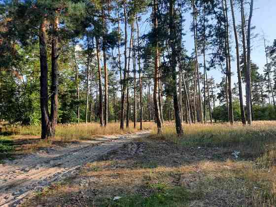 Ми пропонуємо чудову ділянку біля лісу в с. Нижча Дубечня 🌲 Вышгород