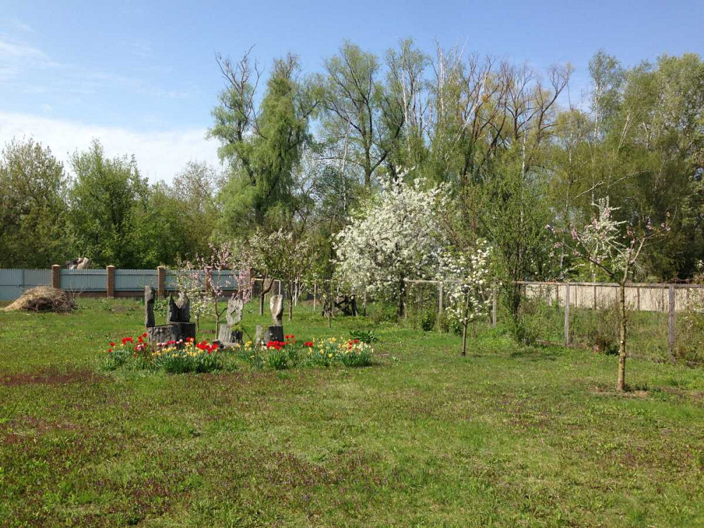 продажа 10-к дом Козелецкий, Остер, 199000 евро  - изображение 3