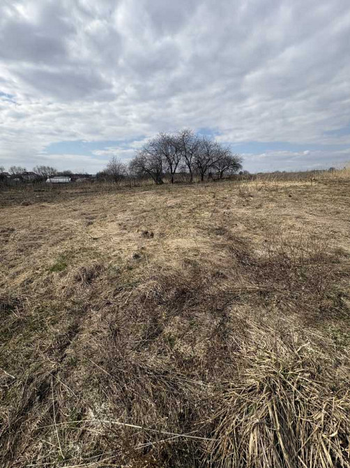 продажа участок под жилую застройку Чернигов, Киенка, 9500 $  - зображення 5