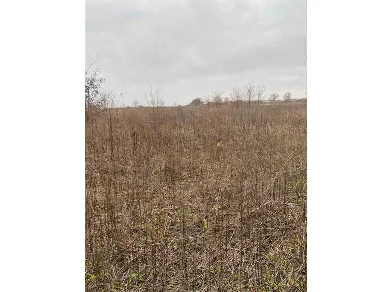 продажа участок под жилую застройку Кропивницкий, Подольский, 69433 грн. Кропивницкий - изображение 4